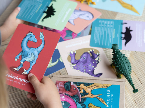 Dinosaur Flashcards-Dinosaurs. Castles & Pirates, Happy Little Doers, Imaginative Play-Learning SPACE