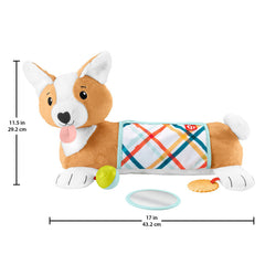 Fisher-Price Corgi Tummy Time Puppy Wedge-Baby Cause & Effect Toys, Baby Sensory Toys, Baby Toys, Fisher Price, Tummy Time-Learning SPACE