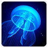 Lumina Large Lightup LED Jelly Fish Tank-AllSensory, Calmer Classrooms, Helps With, Lumina, Sensory Light Up Toys, Stock, Stress Relief, Toys for Anxiety, Underwater Sensory Room, Visual Sensory Toys-Learning SPACE