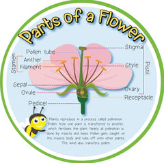 Pollination - Parts of a Flower Outdoor Sign-Calmer Classrooms, Classroom Displays, Forest School & Outdoor Garden Equipment, Helps With, Inspirational Playgrounds, Playground Wall Art & Signs, Pollination Grant, Stock, World & Nature-Learning SPACE