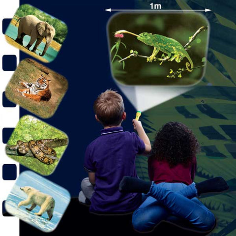 Animal Torch and Projector-AllSensory, Brainstorm Toys, Helps With, Sensory Processing Disorder, Sensory Projectors, Sensory Seeking, Visual Sensory Toys, World & Nature-Learning SPACE