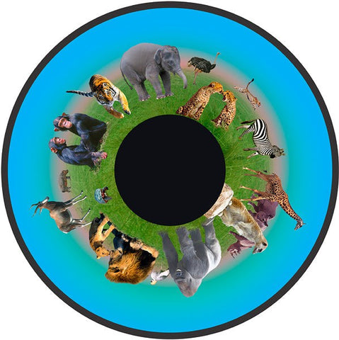 Aura and Solar Projector - 6 Inch Magnetic Picture Wheel-Matrix Group, Sensory Projector Accessories, Sensory Projectors-VAT Exempt-Animals-Learning SPACE