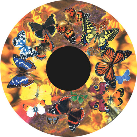 Aura and Solar Projector - 6 Inch Magnetic Picture Wheel-Matrix Group, Sensory Projector Accessories, Sensory Projectors-VAT Exempt-Butterflies-Learning SPACE