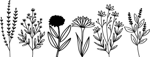 Flower Wall Decal-Nature Sensory Room, Sticker, Wall & Ceiling Stickers, Wall Decor-Black-52x20 cm-Learning SPACE