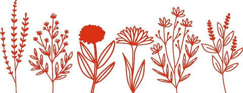 Flower Wall Decal-Nature Sensory Room, Sticker, Wall & Ceiling Stickers, Wall Decor-Red-52x20 cm-Learning SPACE