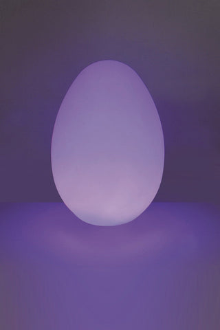 Interactive Mood Egg For Connect Pro Range-AllSensory, Connect Pro, Sensory Light Up Toys, Sensory Room Lighting-Learning SPACE