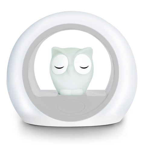 Lou The Owl - Nightlight, Cry Sensor, Auto Shut Off-Calmer Classrooms, Gifts For 1 Year Olds, Helps With, Life Skills, Planning And Daily Structure, PSHE, Schedules & Routines, Sleep Issues-Grey-Learning SPACE