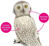Mini Build Your Own - Snowy Owl Mini Eco Friendly Cardboard Slot Together Kit-Arts & Crafts-Additional Need, Arts & Crafts, Craft Activities & Kits, Eco Friendly, Engineering & Construction, Fine Motor Skills, Gifts for 8+, Helps With, Learning Activity Kits, Paper Engine, S.T.E.M, Technology & Design, World & Nature-Learning SPACE