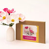 Paper Flower Making Kit-Art Materials, Arts & Crafts, Craft Activities & Kits, Eco Friendly-Learning SPACE