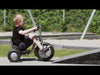 Viking Explorer Easy Rider Tricycle