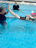 The Citrus Extra Long Flexi Woggle - Floatsation Aid-Floatsation, Hydrotherapy-Learning SPACE